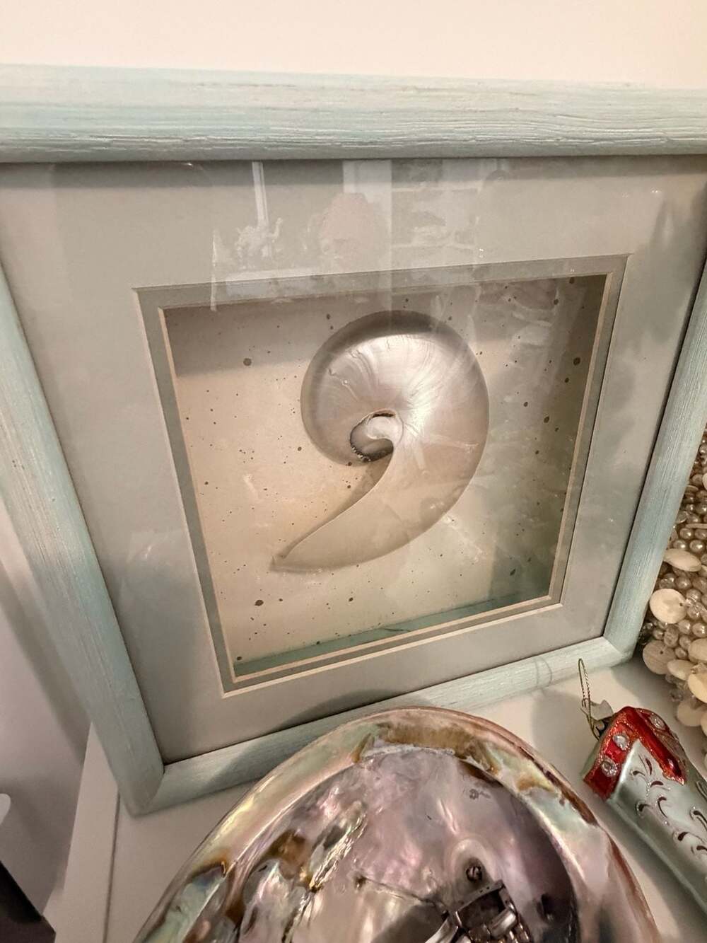 Coastal Pearl Shine Shell Shadow Box Wall Art Natural Nautilus Beach Decor